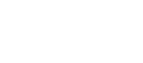 DLM développement